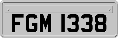 FGM1338