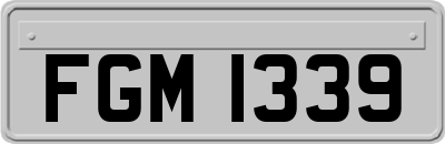FGM1339