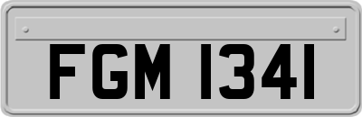 FGM1341