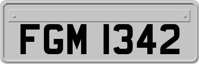 FGM1342
