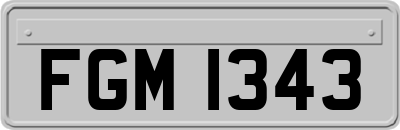 FGM1343