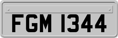 FGM1344