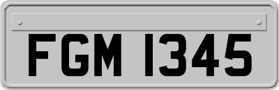 FGM1345