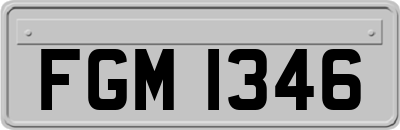 FGM1346