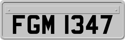 FGM1347