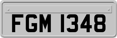 FGM1348