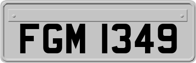 FGM1349