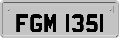 FGM1351