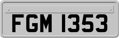 FGM1353
