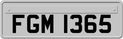 FGM1365