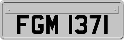FGM1371