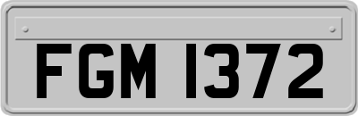 FGM1372
