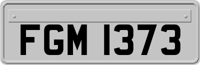 FGM1373