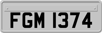 FGM1374