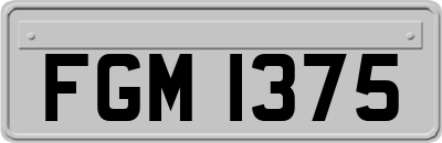 FGM1375