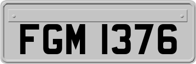 FGM1376