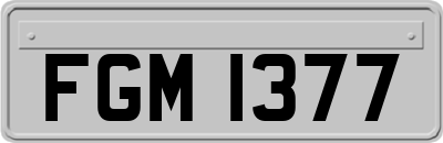 FGM1377