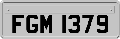 FGM1379