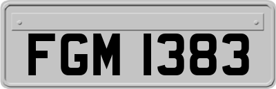 FGM1383