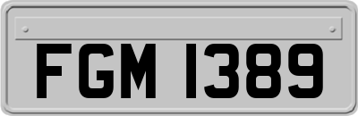 FGM1389