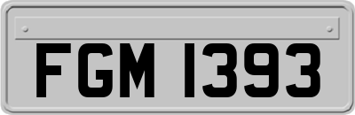 FGM1393