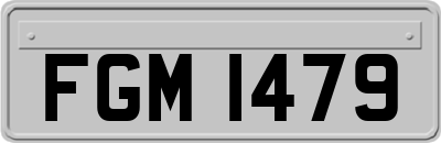 FGM1479