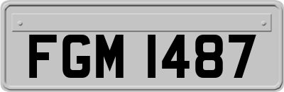 FGM1487