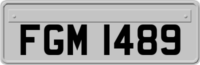 FGM1489