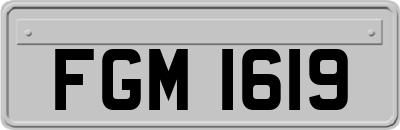 FGM1619