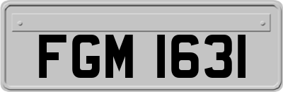 FGM1631