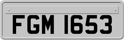 FGM1653