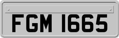 FGM1665