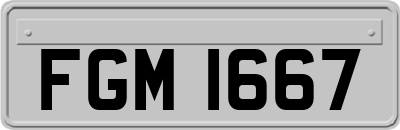 FGM1667