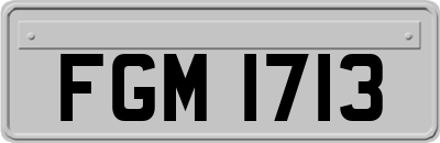 FGM1713