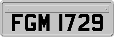 FGM1729