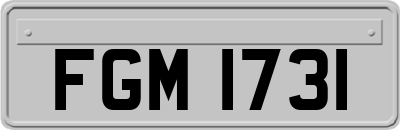 FGM1731