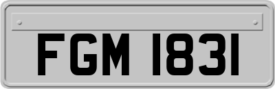 FGM1831