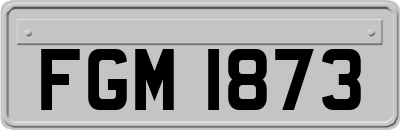 FGM1873
