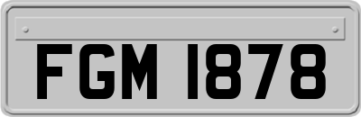 FGM1878