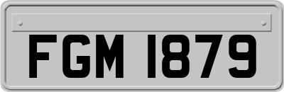 FGM1879