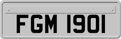 FGM1901