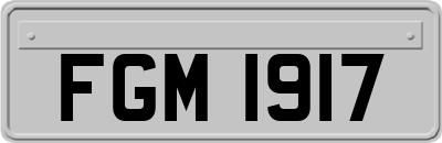 FGM1917