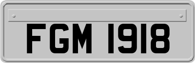 FGM1918