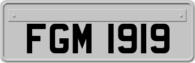 FGM1919