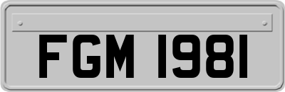 FGM1981