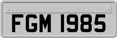 FGM1985