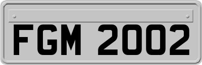 FGM2002