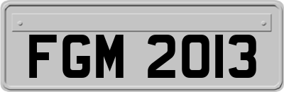 FGM2013