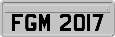 FGM2017