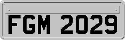 FGM2029